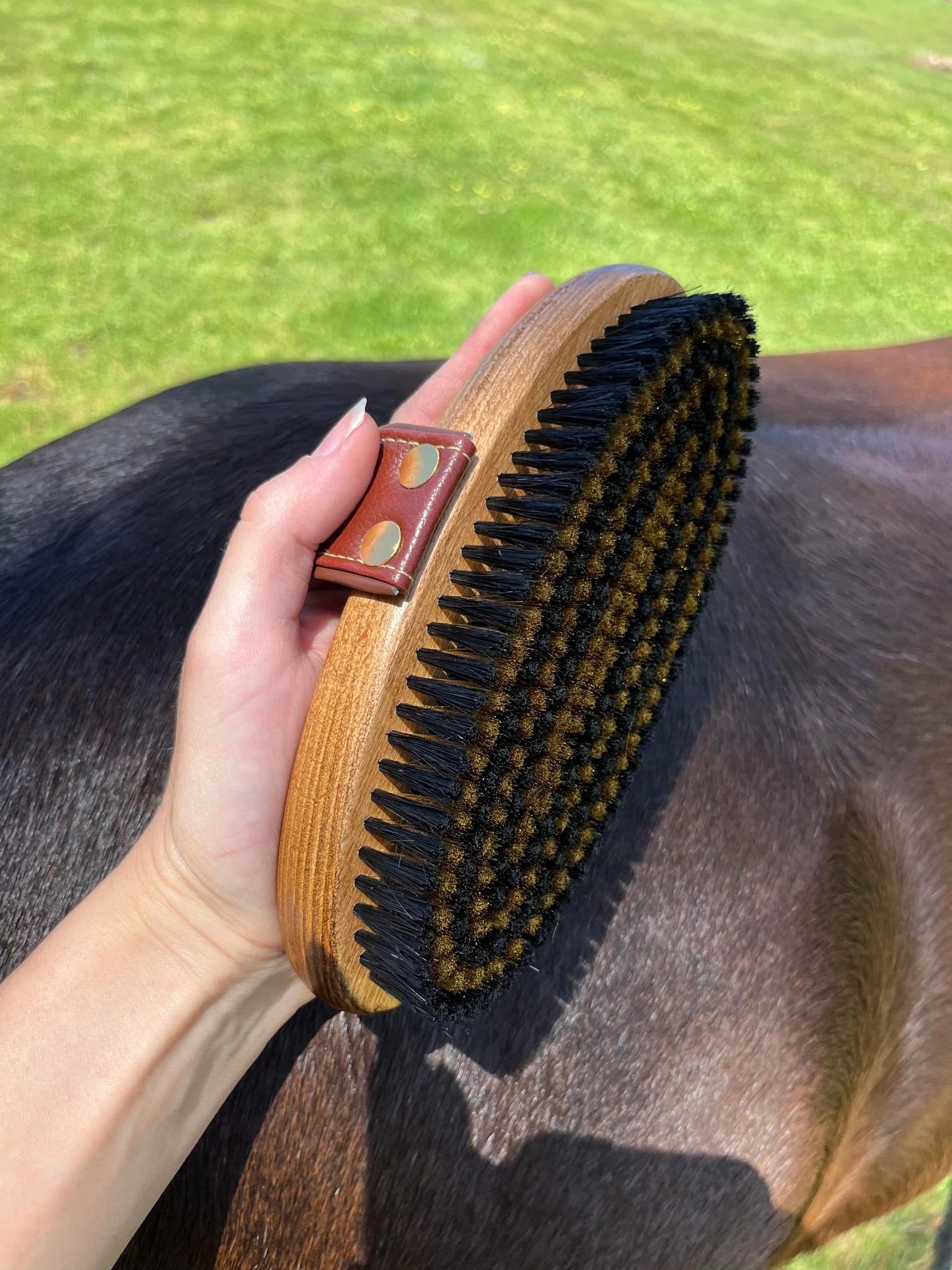 brush