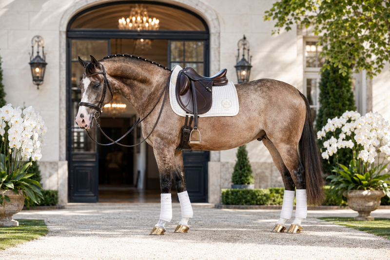 Style My Horse