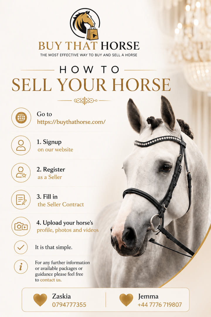 How to sell your horse